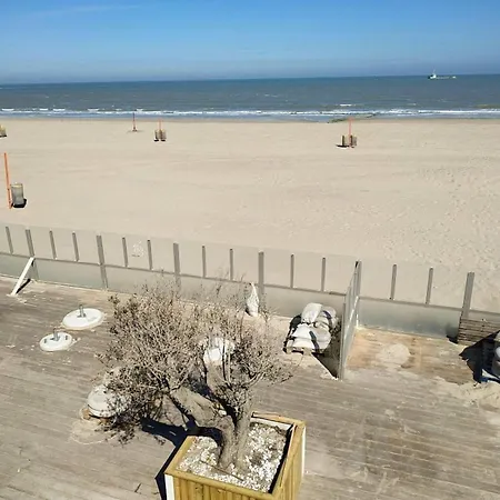 شقة In With Sea View, Cleaning Included